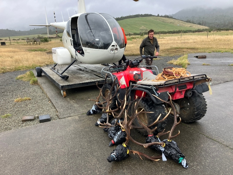 Hunting success from Rangitaiki base